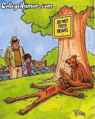 feedbears.jpg