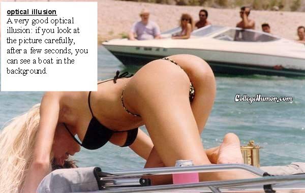 opticalillusion.jpg