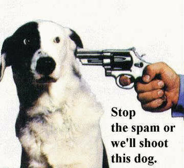 spam_dog.jpg